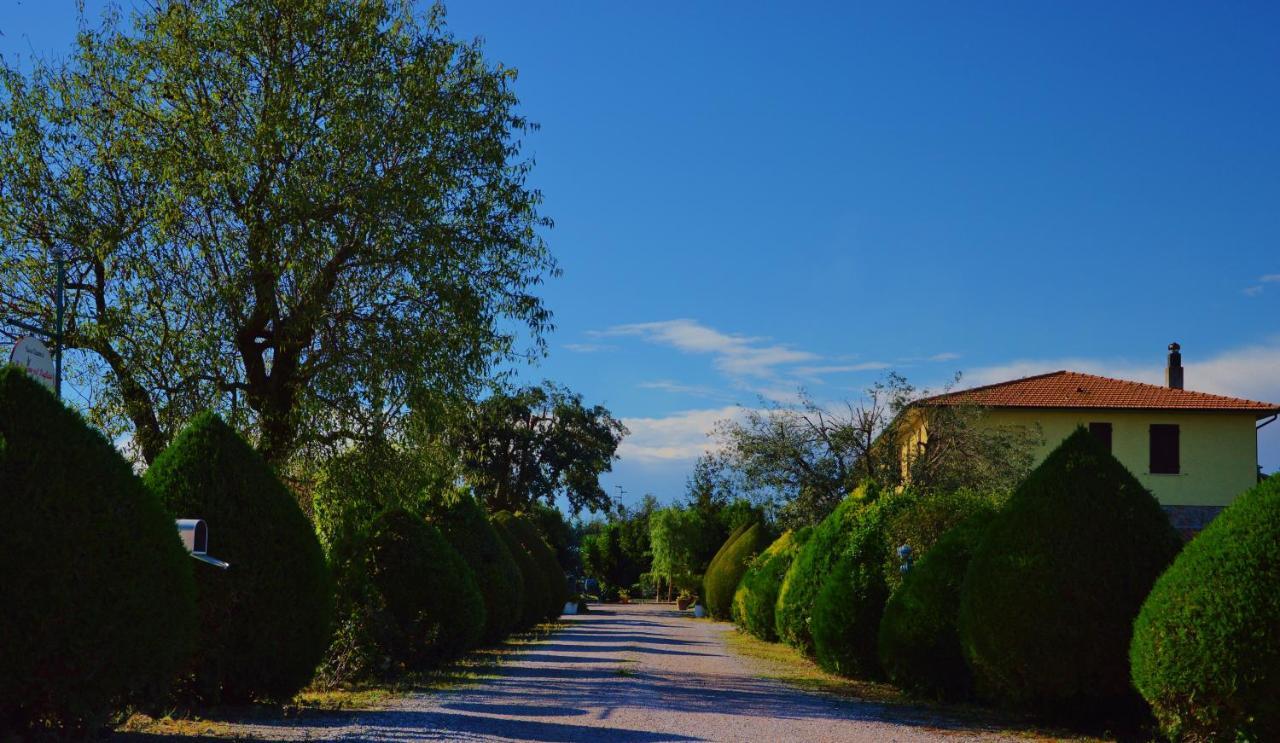 Agriturismo Il Cuscino Nel Pagliaio カンピーリア・マリッティマ エクステリア 写真