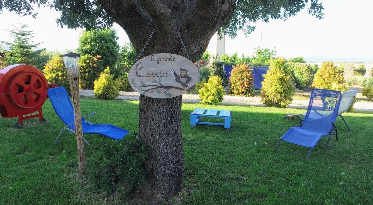 Agriturismo Il Cuscino Nel Pagliaio カンピーリア・マリッティマ エクステリア 写真