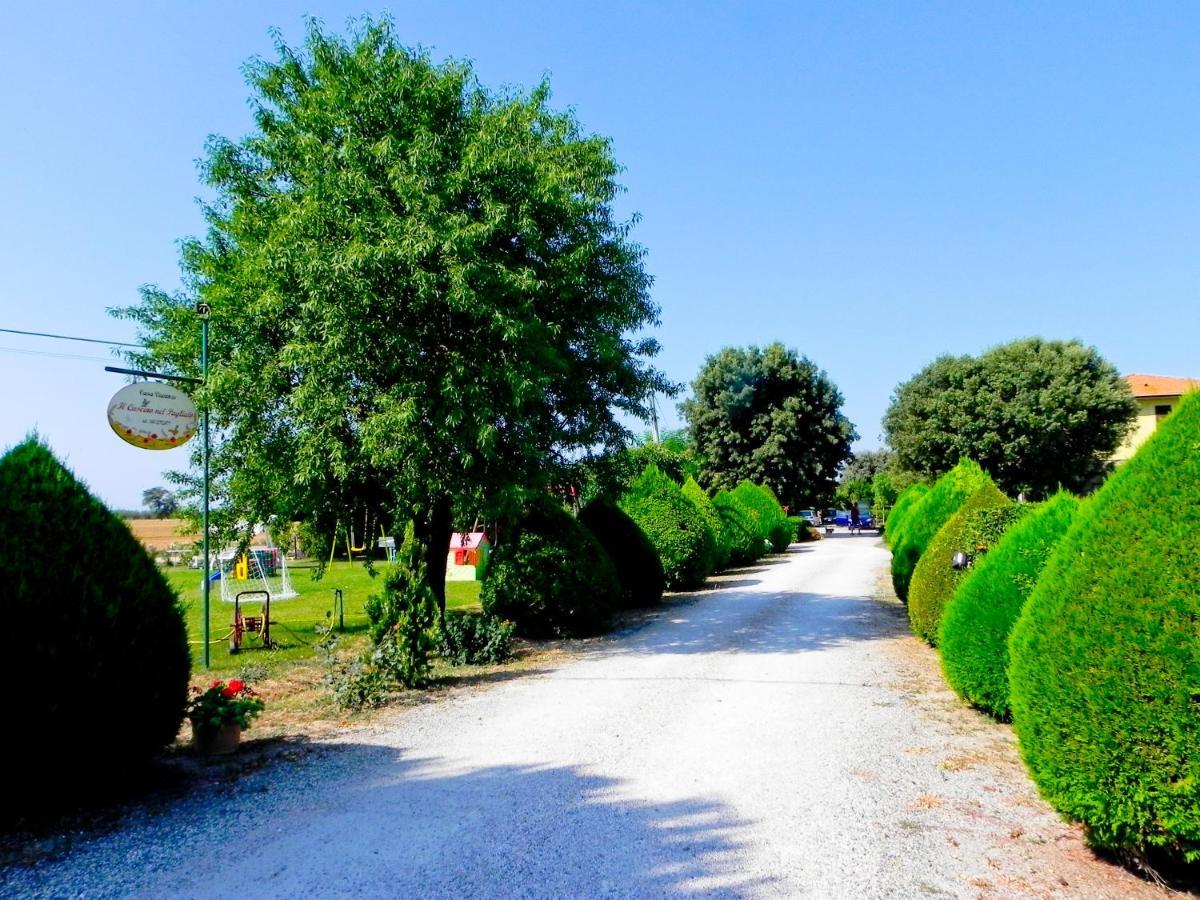 Agriturismo Il Cuscino Nel Pagliaio カンピーリア・マリッティマ エクステリア 写真