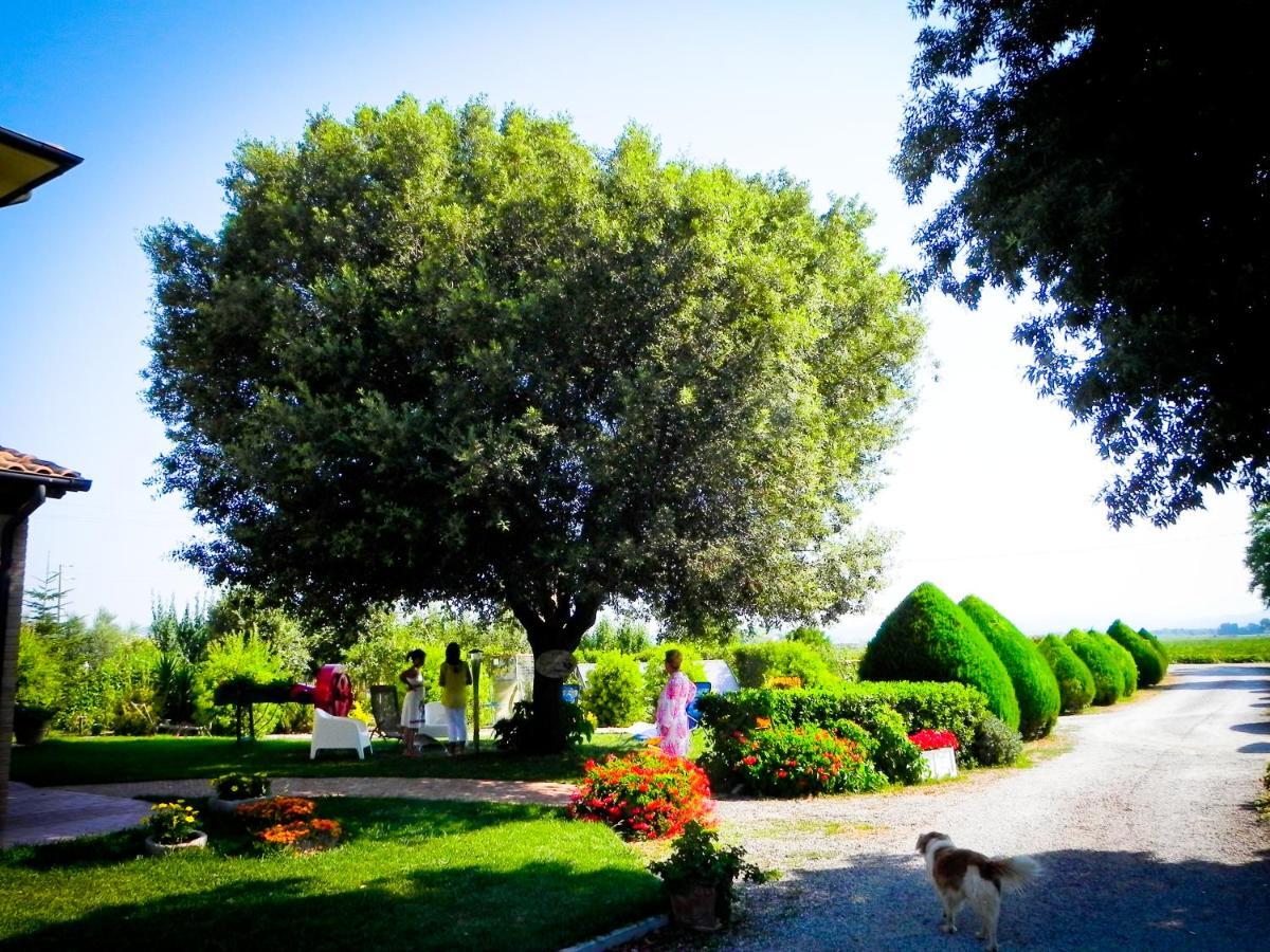 Agriturismo Il Cuscino Nel Pagliaio カンピーリア・マリッティマ エクステリア 写真