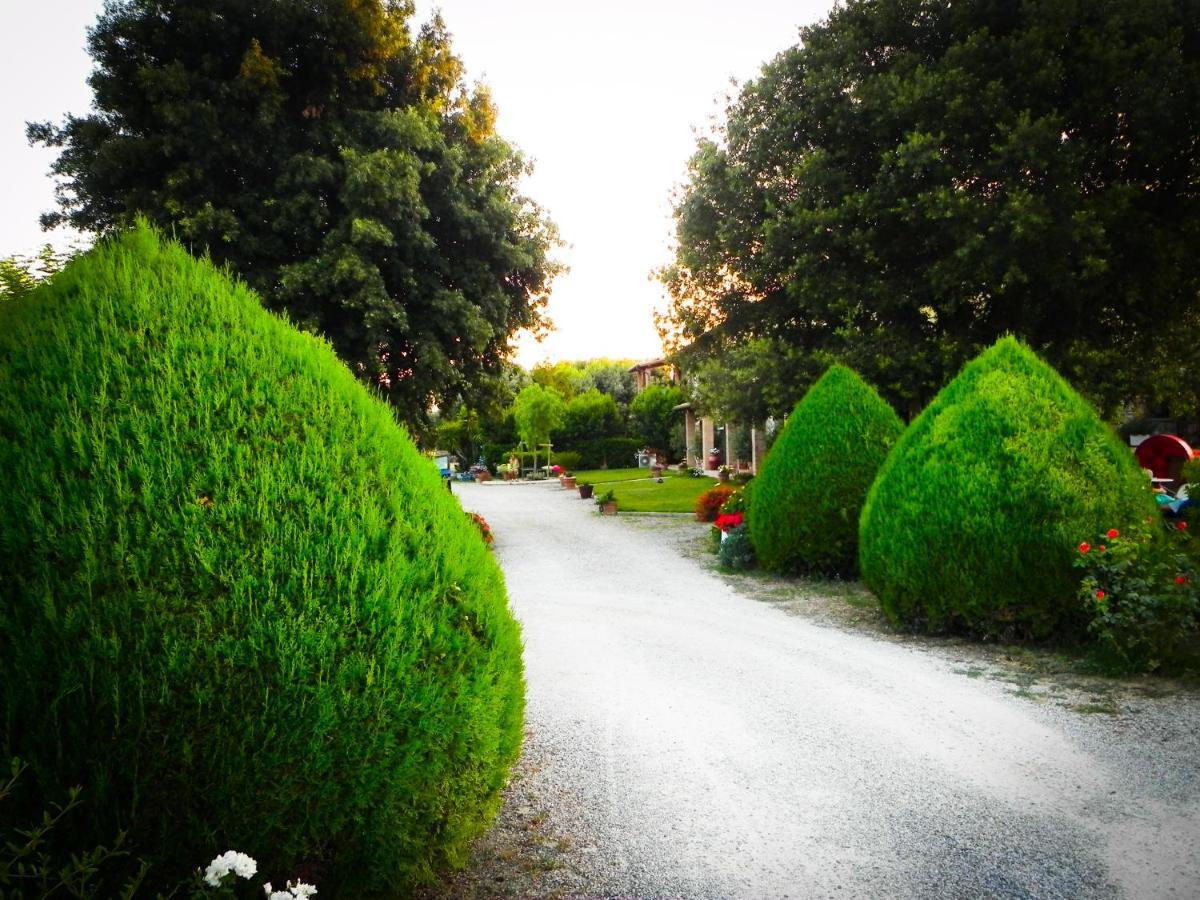Agriturismo Il Cuscino Nel Pagliaio カンピーリア・マリッティマ エクステリア 写真