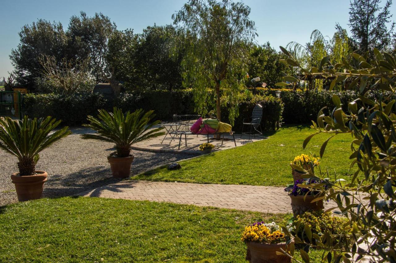Agriturismo Il Cuscino Nel Pagliaio カンピーリア・マリッティマ エクステリア 写真